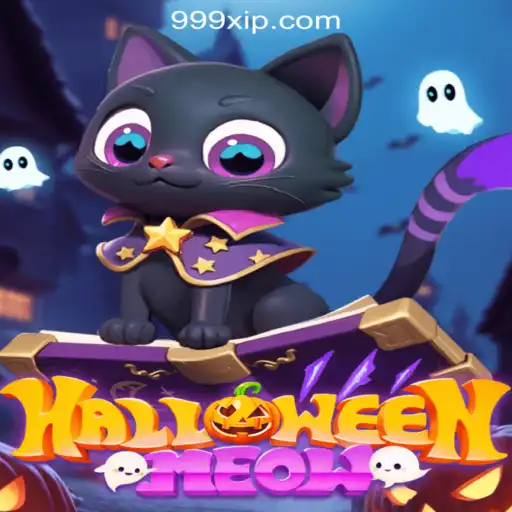 Dive into the World of HalloweenMeow: The Spooktacular Slot Adventure